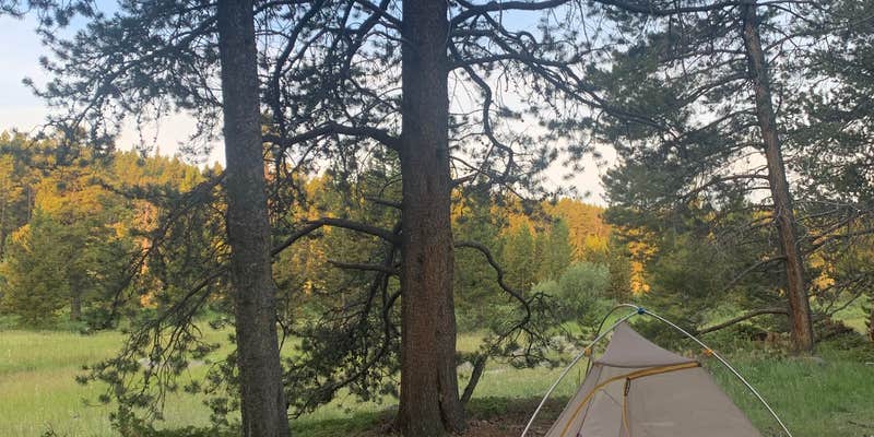 Camper submitted image from Canyon Creek Road Dispersed Camping