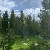 Review photo of Uinta-Wasatch-Cache National Forest Dispersed Camping by Heather P., July 24, 2023