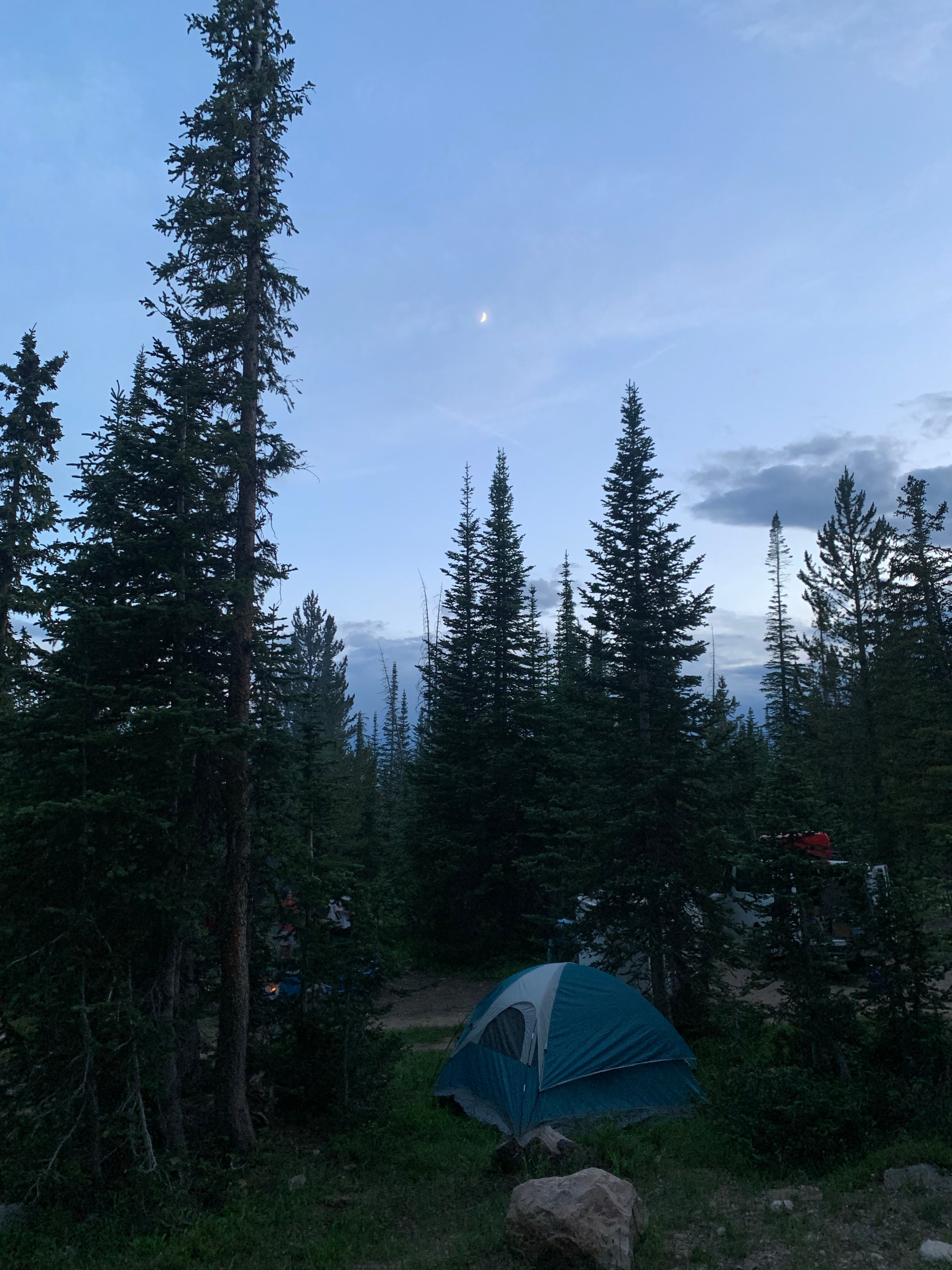 Camper submitted image from Uinta-Wasatch-Cache National Forest Dispersed Camping - 1