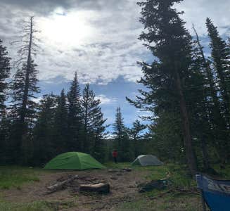 Camper-submitted photo from Uinta-Wasatch-Cache National Forest Dispersed Camping
