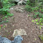 Review photo of General Burnside Island State Park Campground by Todd C., July 24, 2023