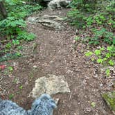 Review photo of General Burnside Island State Park Campground by Todd C., July 24, 2023