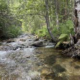 Review photo of Charles Waters Campground by Lisa C., July 24, 2023