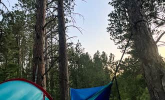 Camping near Belle Fourche Reservoir Dispersed Camping : Mount Roosevelt Road Dispersed Campsite, Deadwood, South Dakota