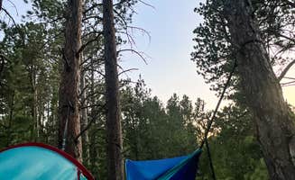 Misty B.'s photo at Mount Roosevelt Road Dispersed Campsite near Lead, SD