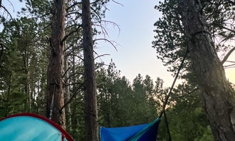Camping near Wickiup Village Cabins: Mount Roosevelt Road Dispersed Campsite, Deadwood, South Dakota
