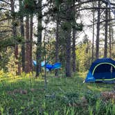 Review photo of Mount Roosevelt Road Dispersed Campsite by Misty B., July 24, 2023