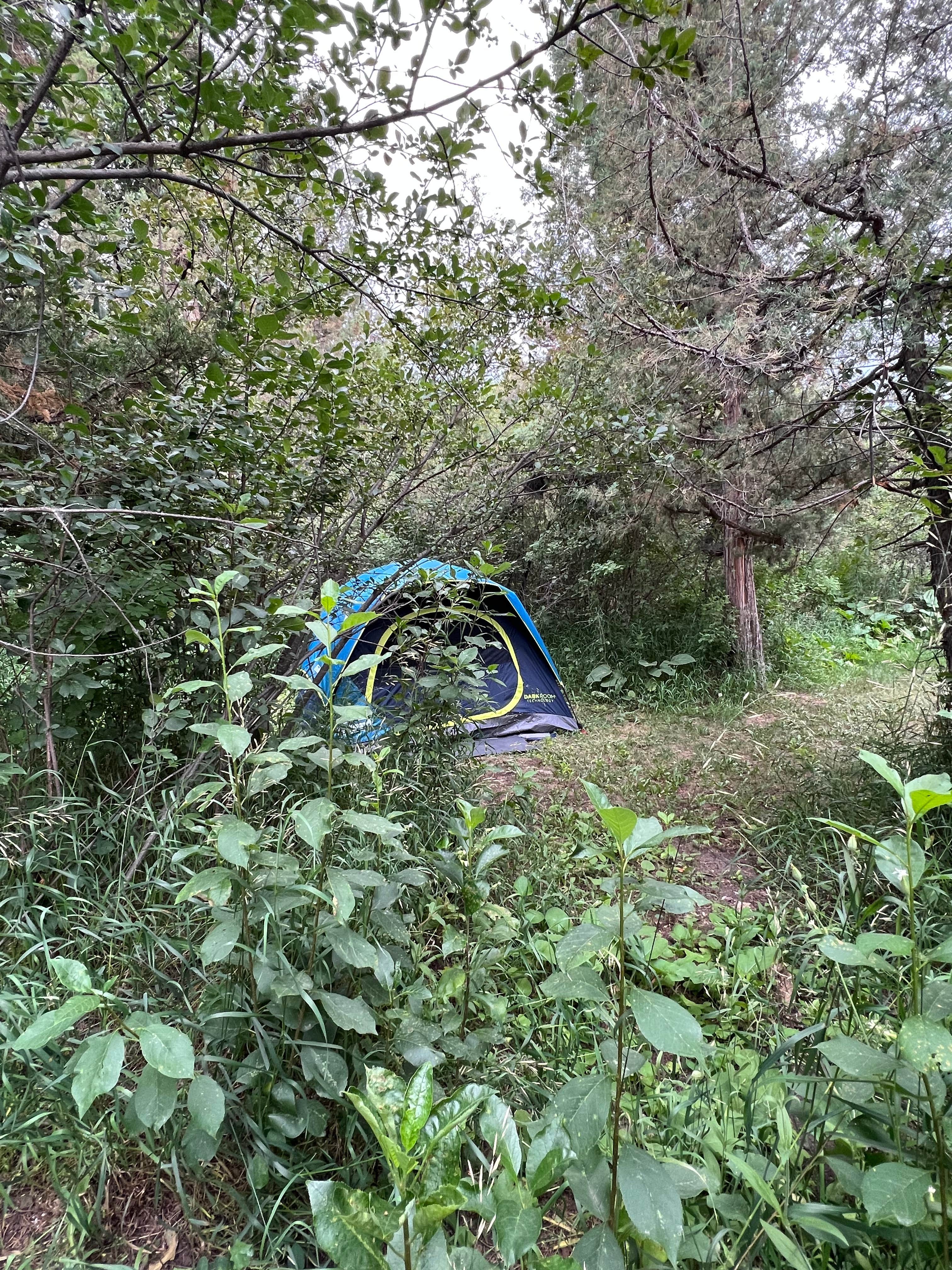 Misty B.'s photo at Livingston/Paradise Valley KOA Holiday near Wilsall, MT