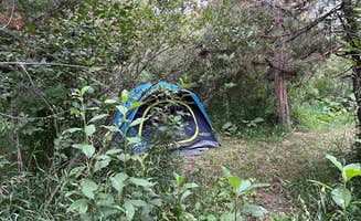 Misty B.'s photo at Livingston/Paradise Valley KOA Holiday near Livingston, MT