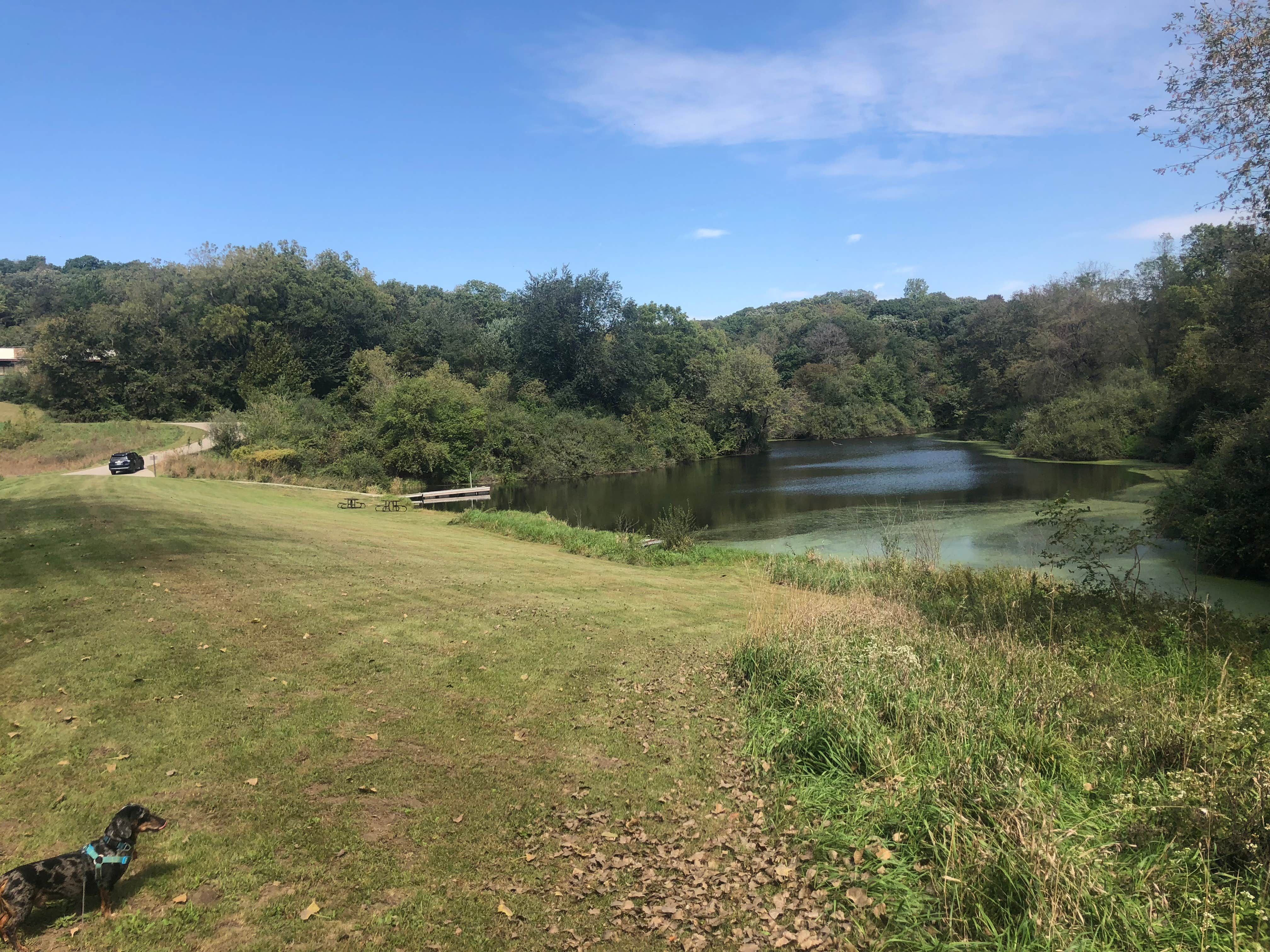 Creepy lake with a boatramp andsmall pier, short dead end trail along the shoreline 