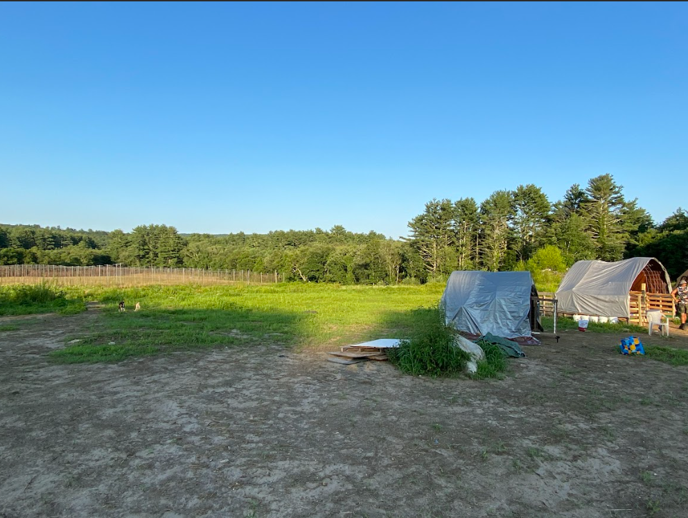 Garrett N.'s photo at Starlit Camping at Atlantic Coast Farms and Estates near Willington, CT