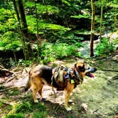 Review photo of Cuyahoga Valley National Park - CAMPING NO LONGER OFFERED by Joseph B., July 24, 2023