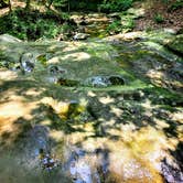 Review photo of Cuyahoga Valley National Park - CAMPING NO LONGER OFFERED by Joseph B., July 24, 2023