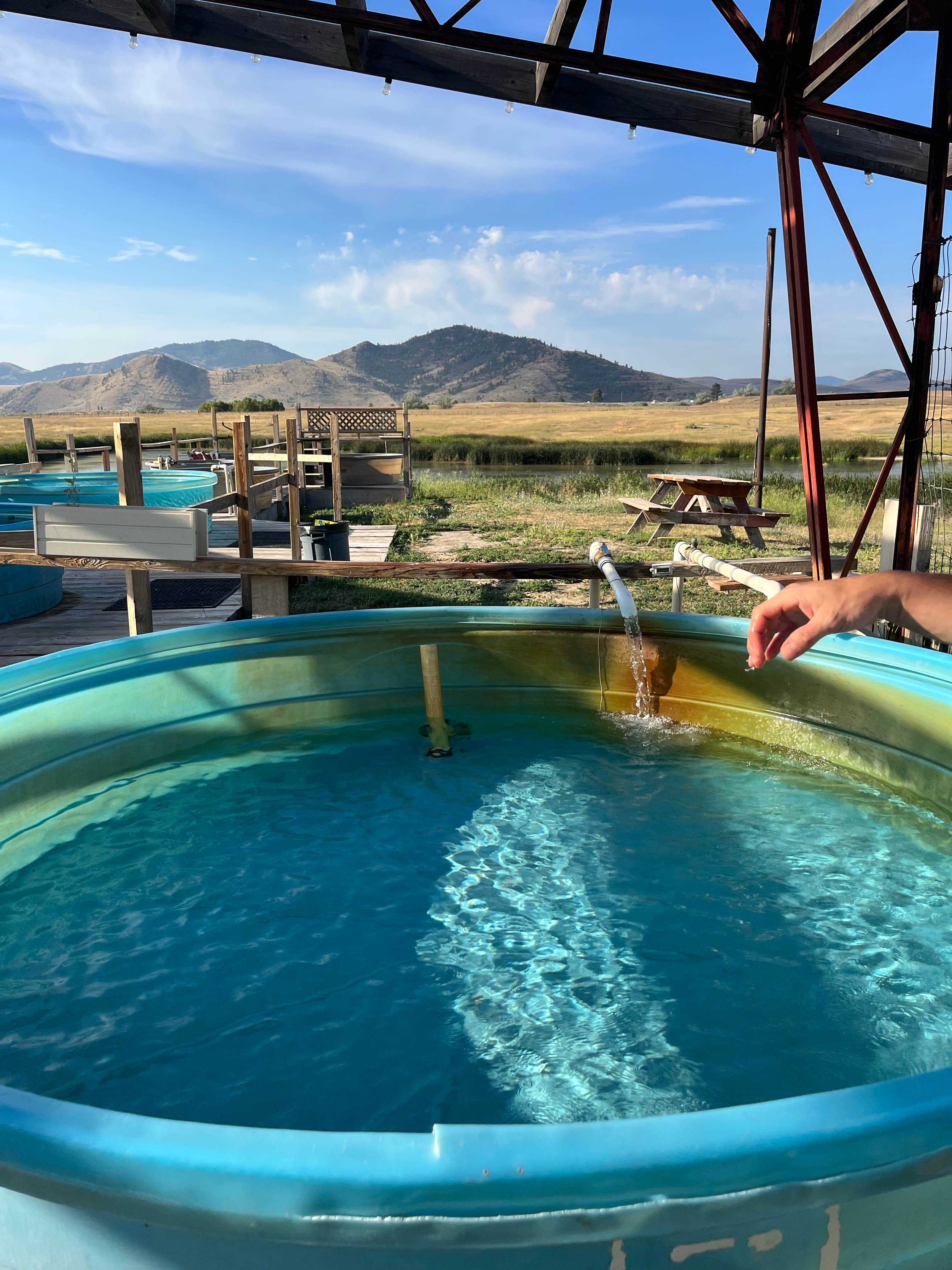 Camper submitted image from Wild Horse Hot Springs - 3