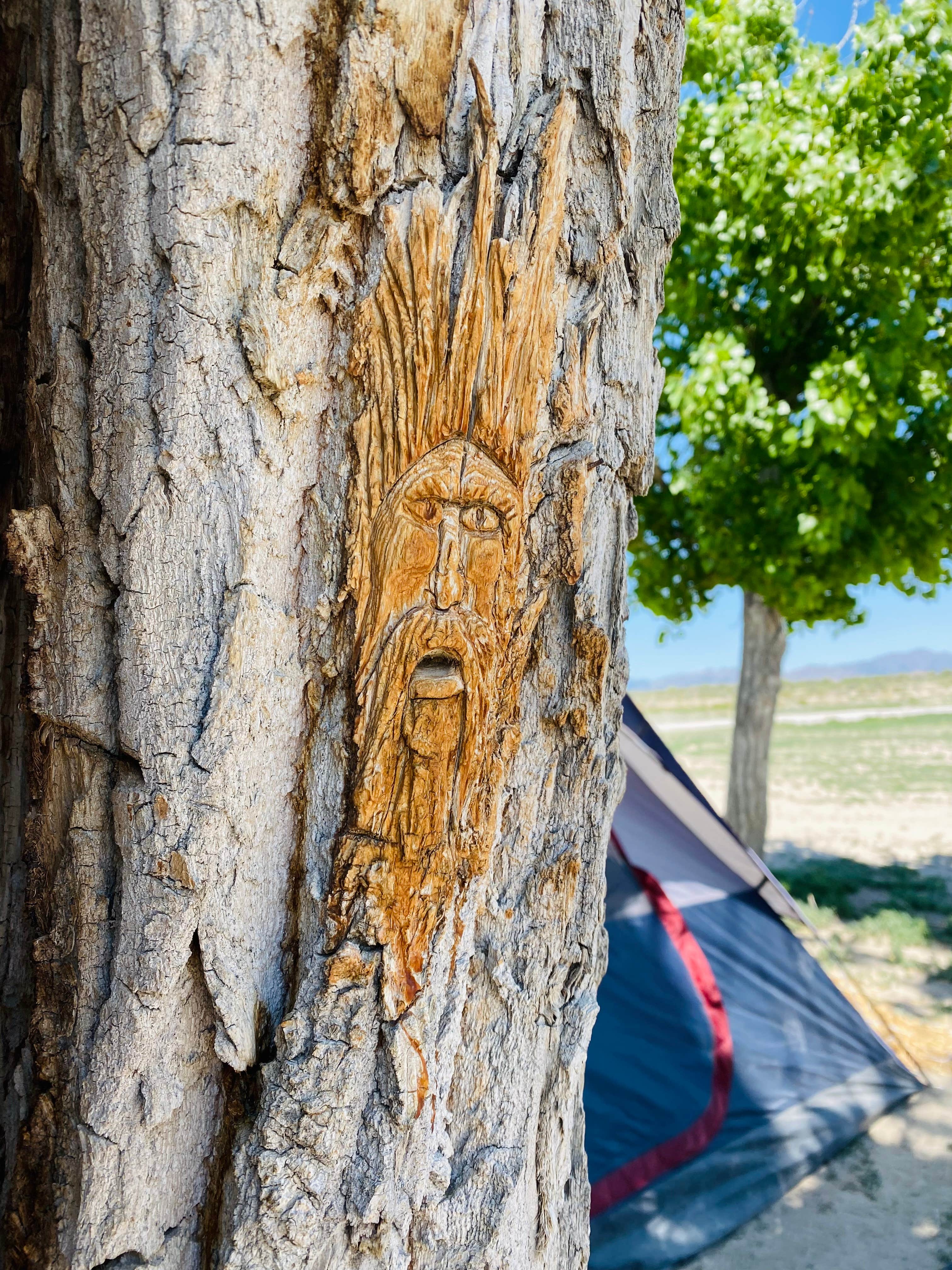 Camper-submitted photo at Dave Deacon Campground - Wayne E Kirch Wildlife Management Area near Pioche, NV