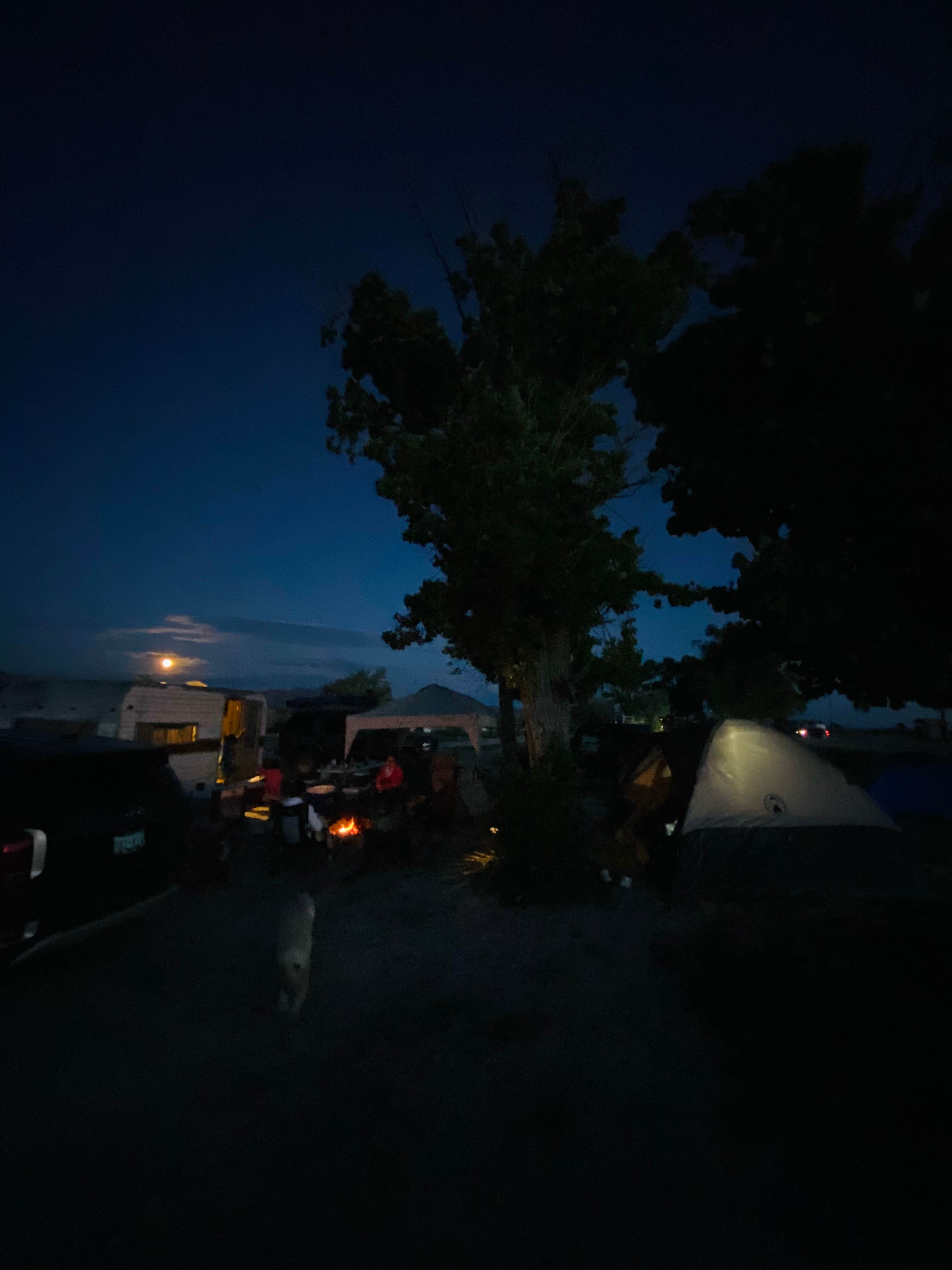 Camper-submitted photo at Dave Deacon Campground - Wayne E Kirch Wildlife Management Area near Pioche, NV