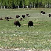 Review photo of North Rim Campground — Grand Canyon National Park by Terry K., July 8, 2023