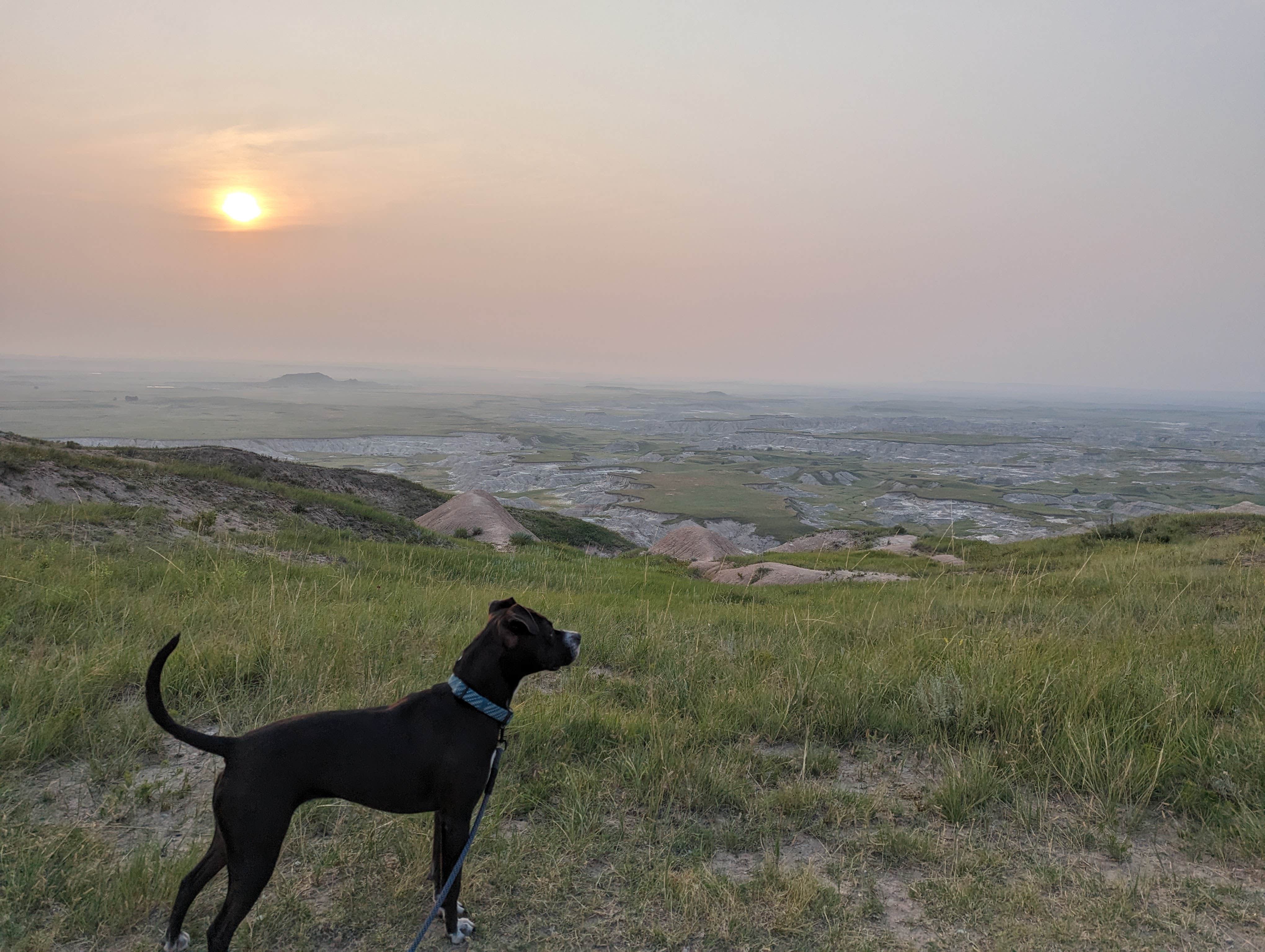 Kristi D.'s photo of camping with pets at The Wall Boondocking Dispersed near Interior, SD