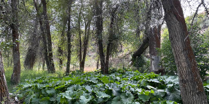 Camper submitted image from Stanton Crossing