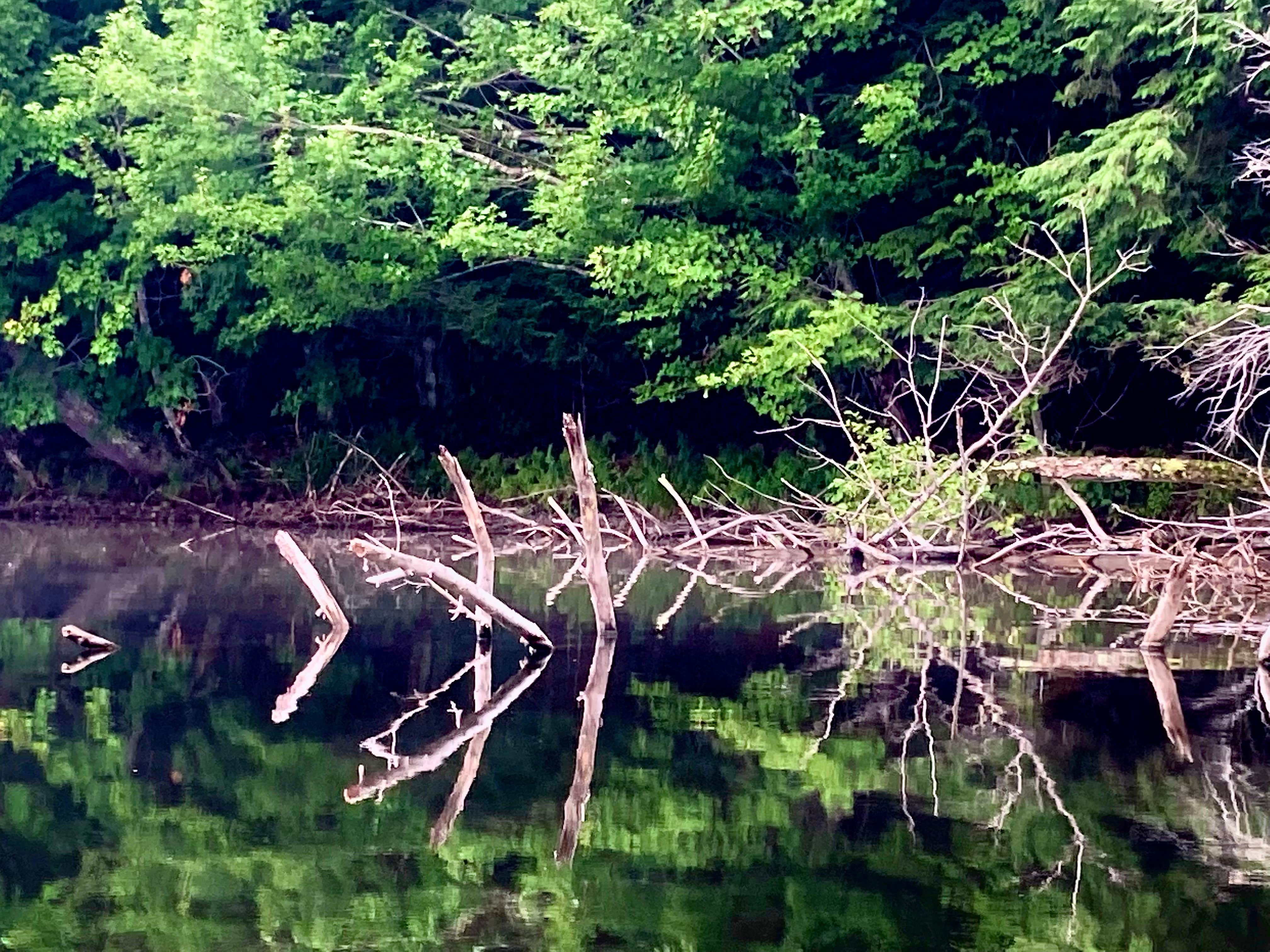 Camper-submitted photo at Flambeau Lodge and Campground near Phillips, WI