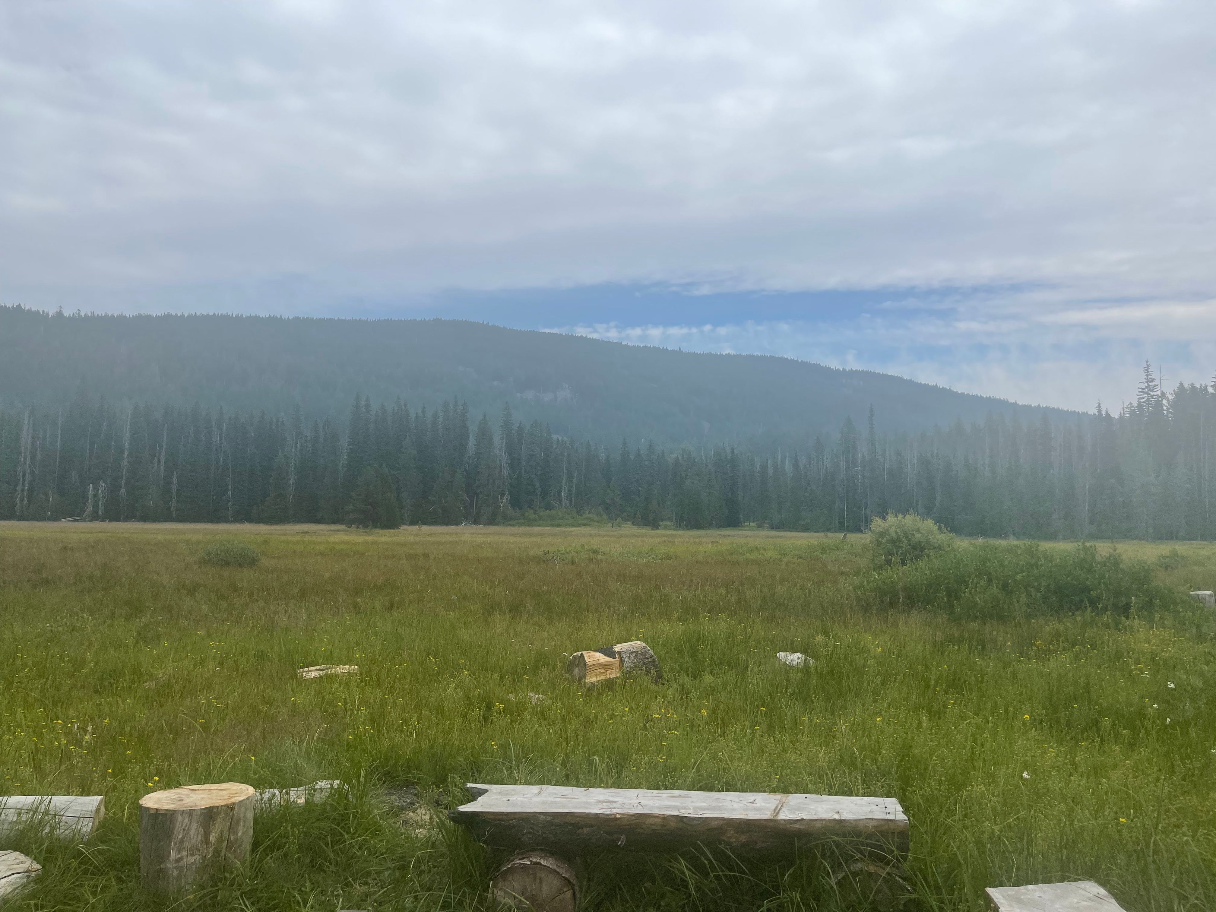 Camper submitted image from Olallie Meadow Campground - 2