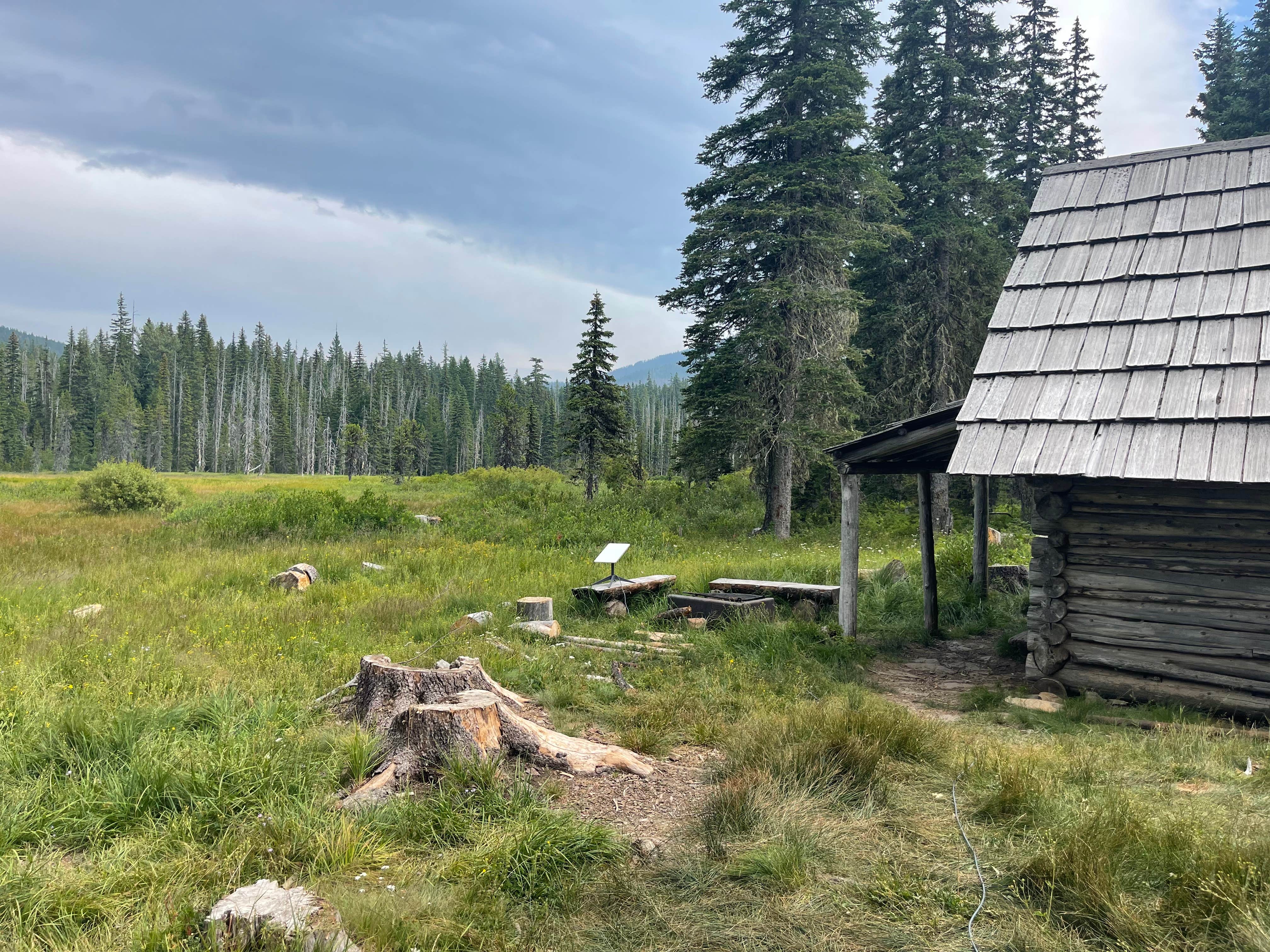 Camper submitted image from Olallie Meadow Campground - 4