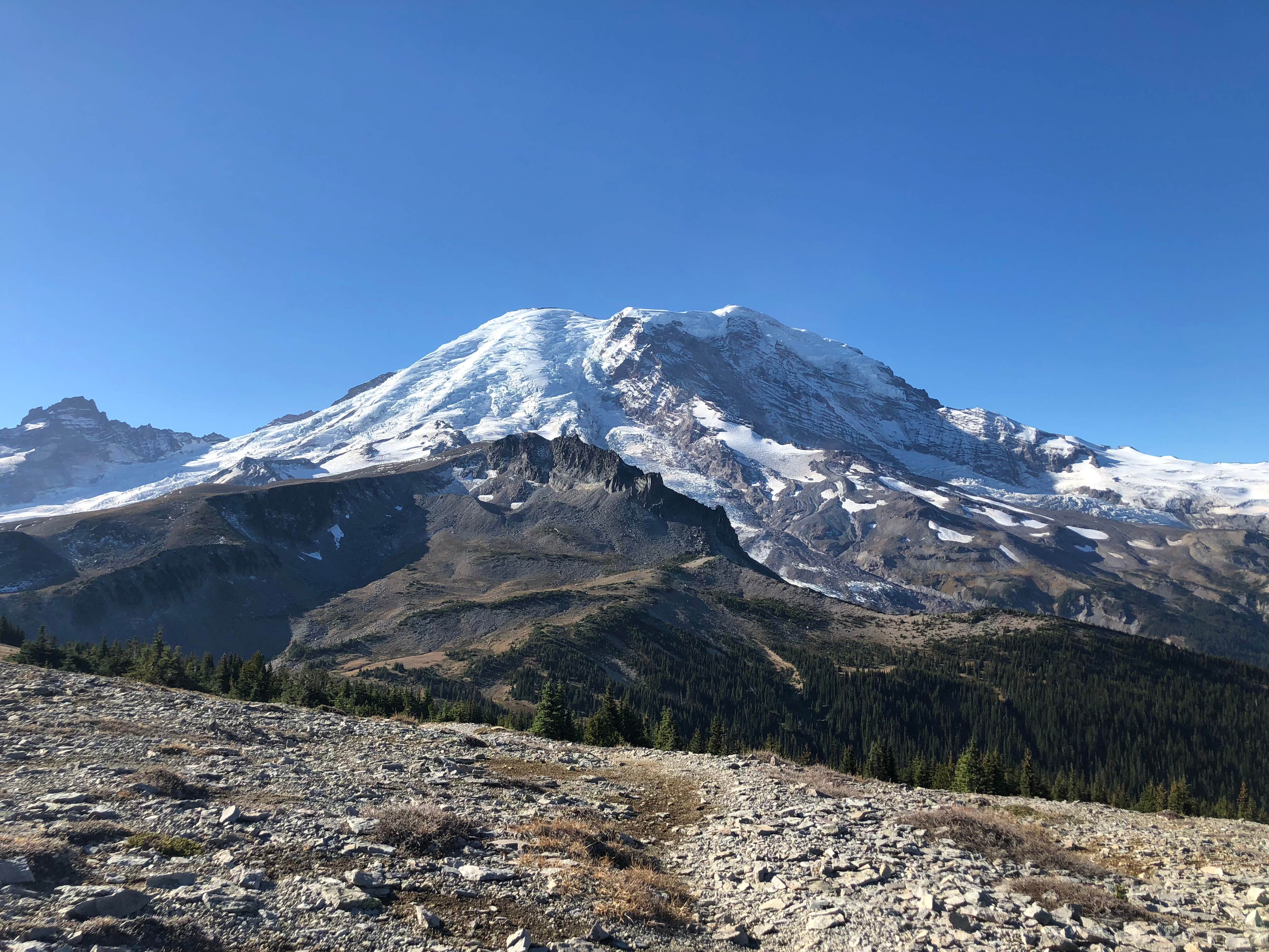 Camper-submitted photo at Ipsut Creek Backcountry Campground — Mount Rainier National Park near Lake Tapps, WA
