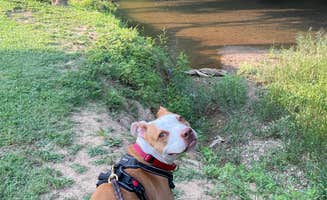 Gretchen's photo of camping with pets at Creekside RV Park near Pigeon Forge, TN