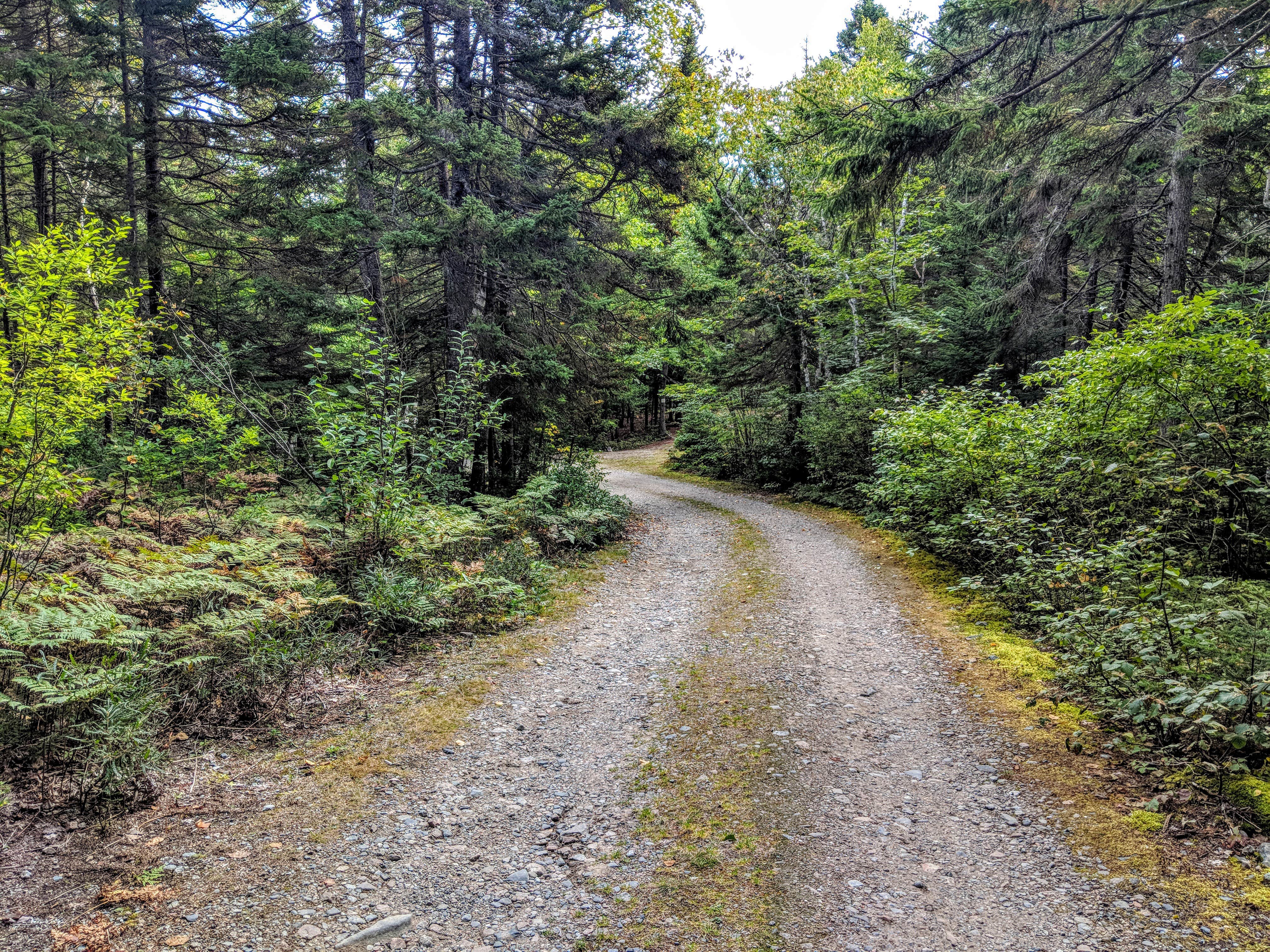 Camper submitted image from McClellan Park - 4
