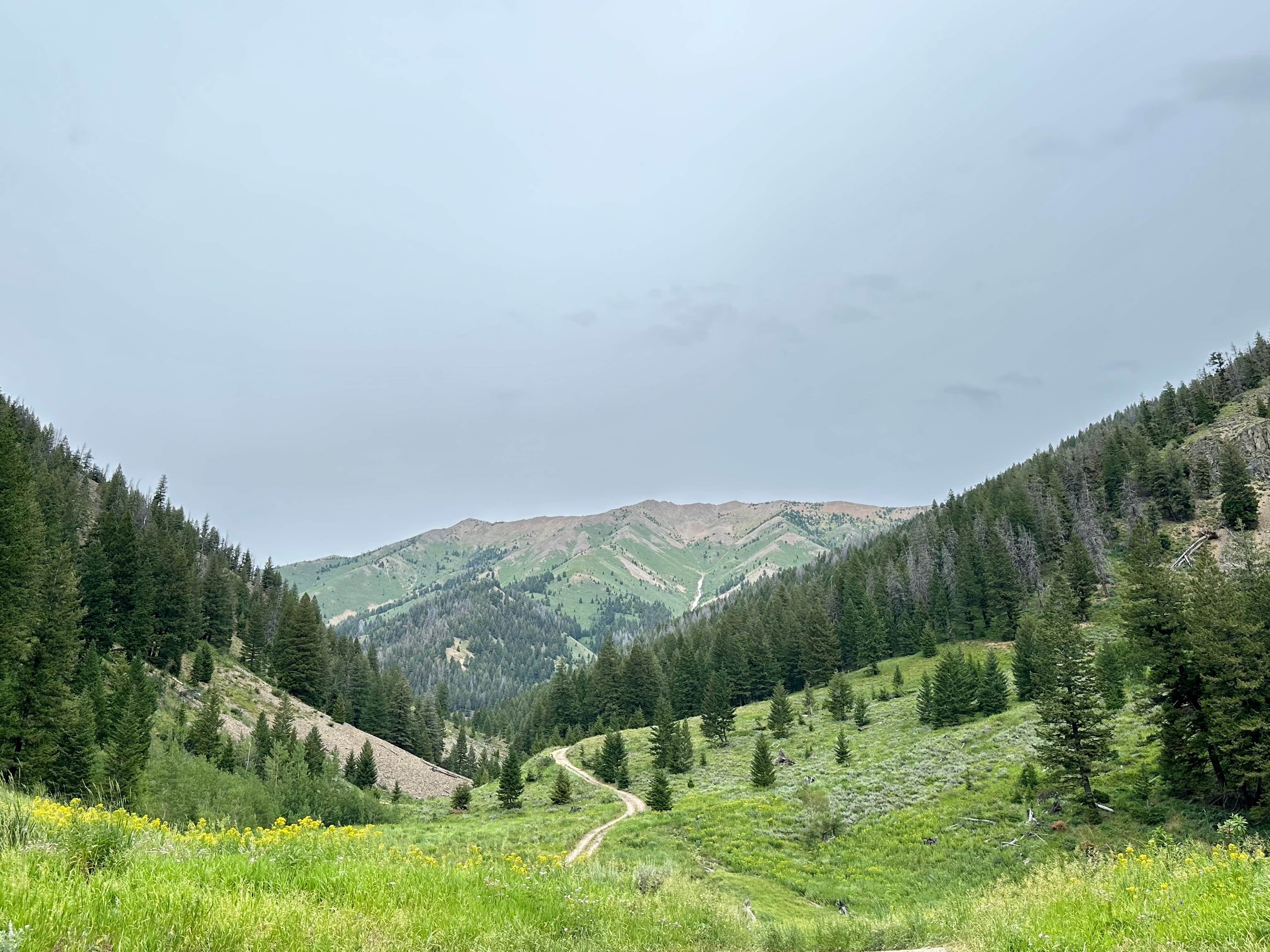 Camper-submitted photo at Lake Creek Rd Dispersed near Mackay, ID