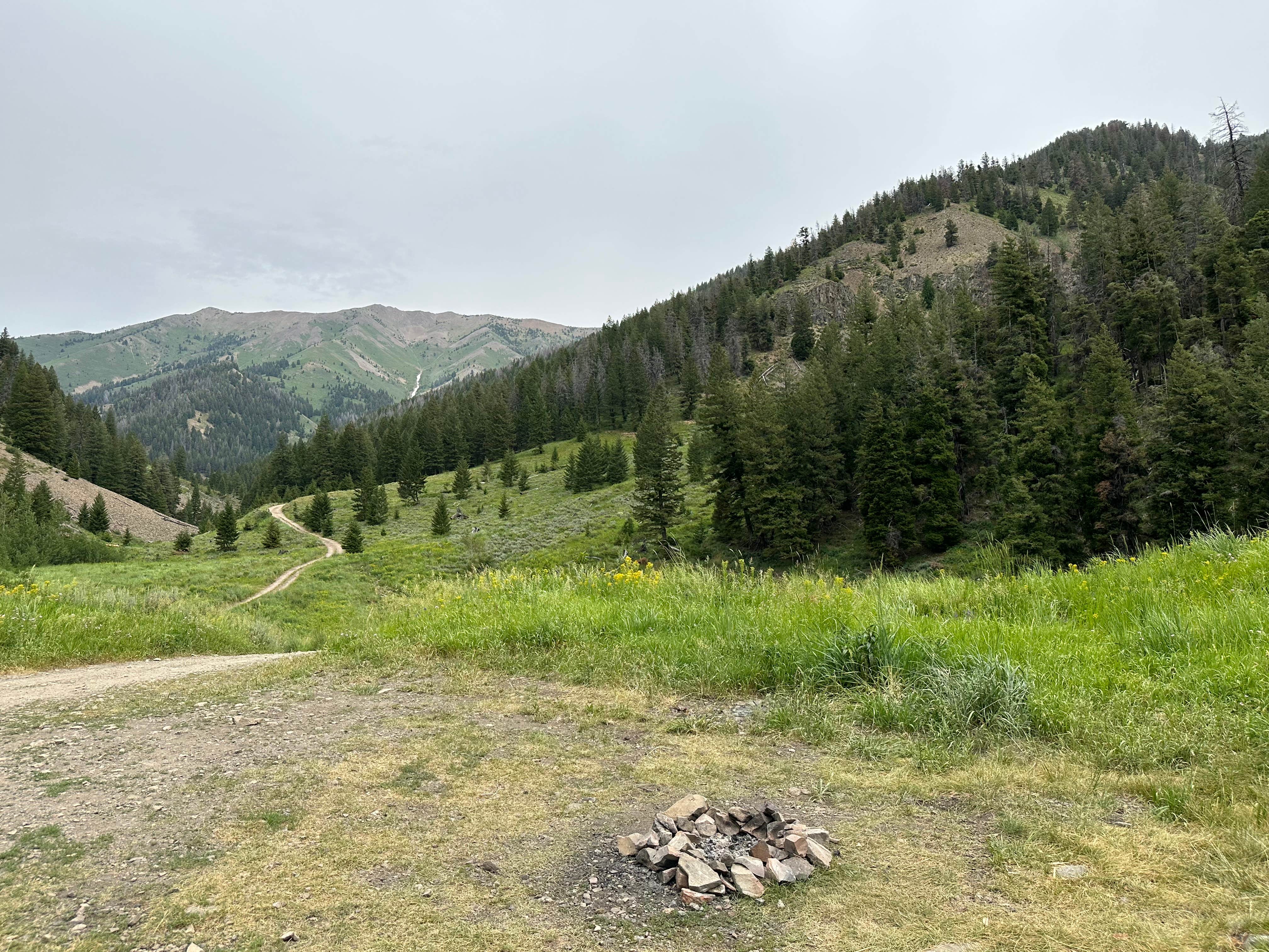 Camper-submitted photo at Lake Creek Rd Dispersed near Mackay, ID
