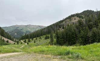 Camping near North Fork Campground - Sawtooth National Forest: Lake Creek Rd Dispersed, Ketchum, Idaho