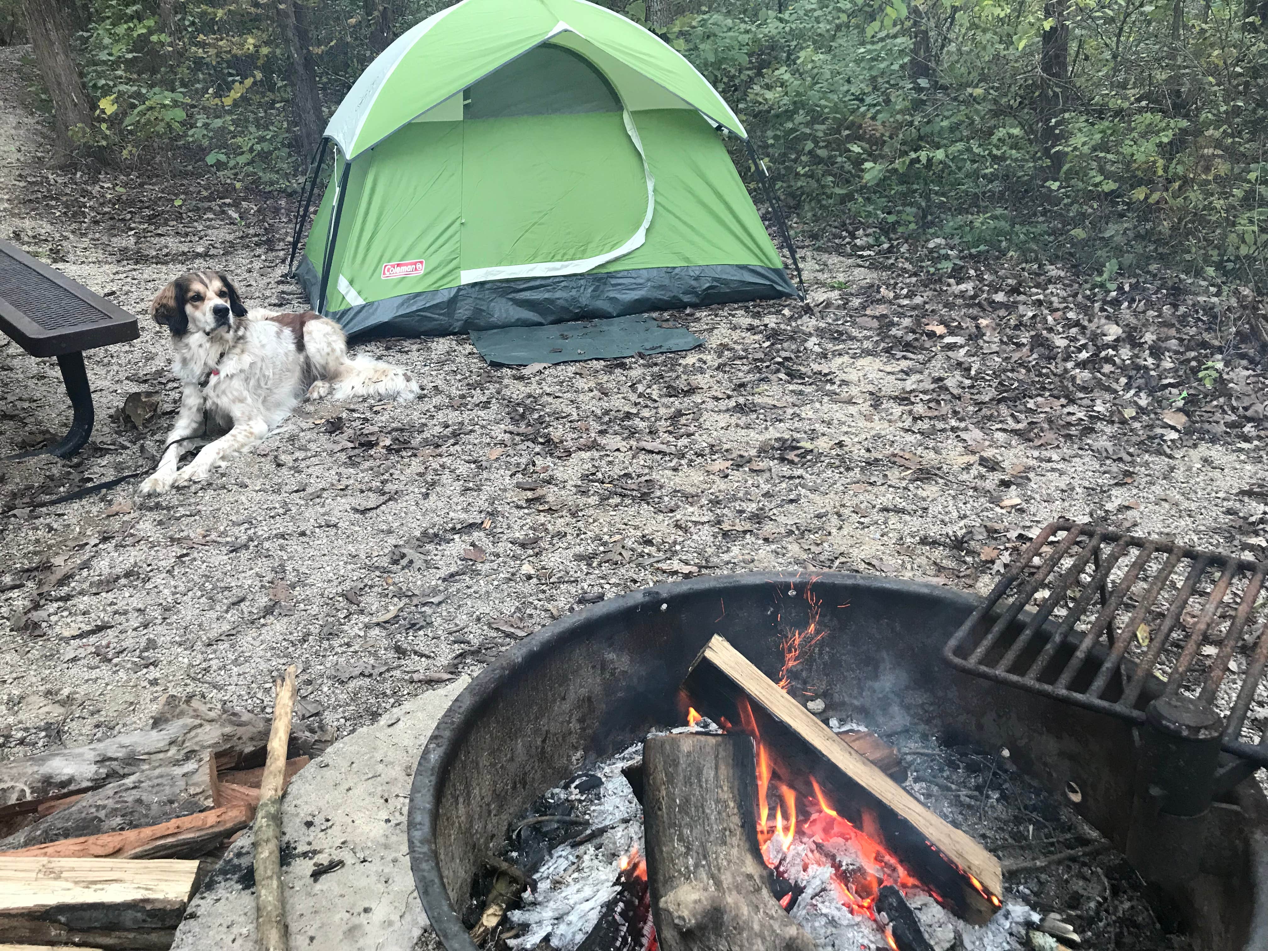 Marija E.'s photo at Marble Creek Rec Area near Farmington, MO