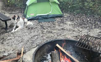Marija E.'s photo at Marble Creek Rec Area near Pilot Knob, MO