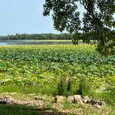 Review photo of Thomson Causeway by Roger W., July 25, 2023