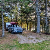 Review photo of Cobscook Bay State Park Campground by Shari  G., October 24, 2018