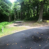 Review photo of Balsam Mountain Campground — Great Smoky Mountains National Park by Roger W., July 25, 2023