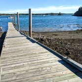 Review photo of Cobscook Bay State Park Campground by Shari  G., October 24, 2018