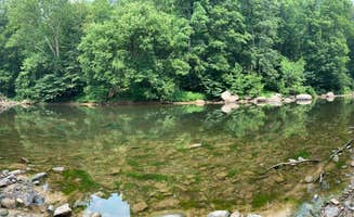 Elizabeth C.'s photo of camping with pets at Camp Cacapon near Cumberland, MD