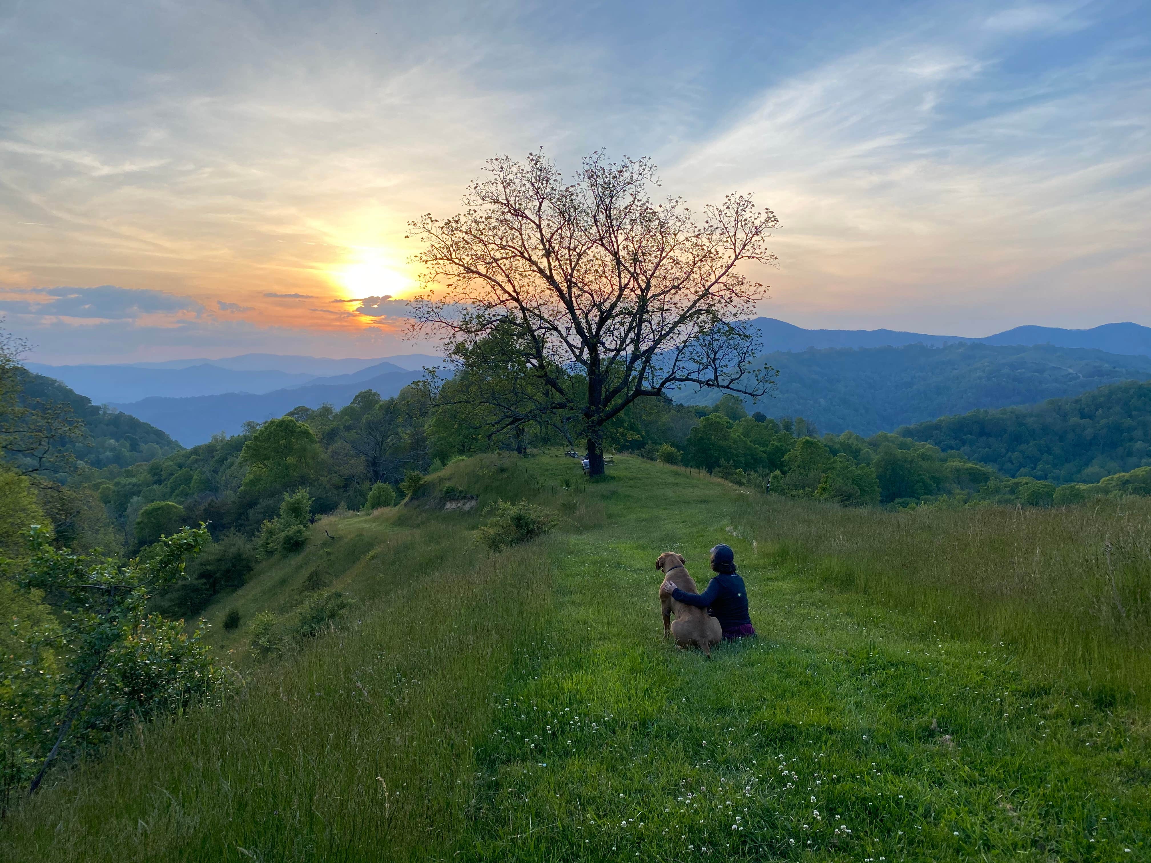 Camping near Tatonka Lodge: Pause || Eco-Retreat, Canton, North Carolina