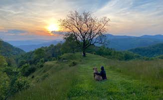 Faramarz H.'s photo of camping with pets at Pause || Eco-Retreat near Lake Junaluska, NC