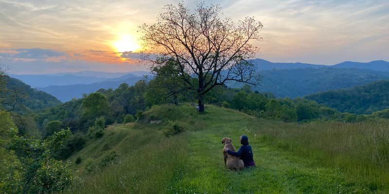 Camper submitted image from Pause || Eco-Retreat