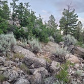 Review photo of Long Jim Loop Campground by Tisha W., July 25, 2023