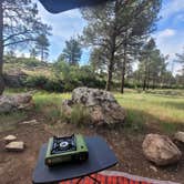 Review photo of Long Jim Loop Campground by Tisha W., July 25, 2023