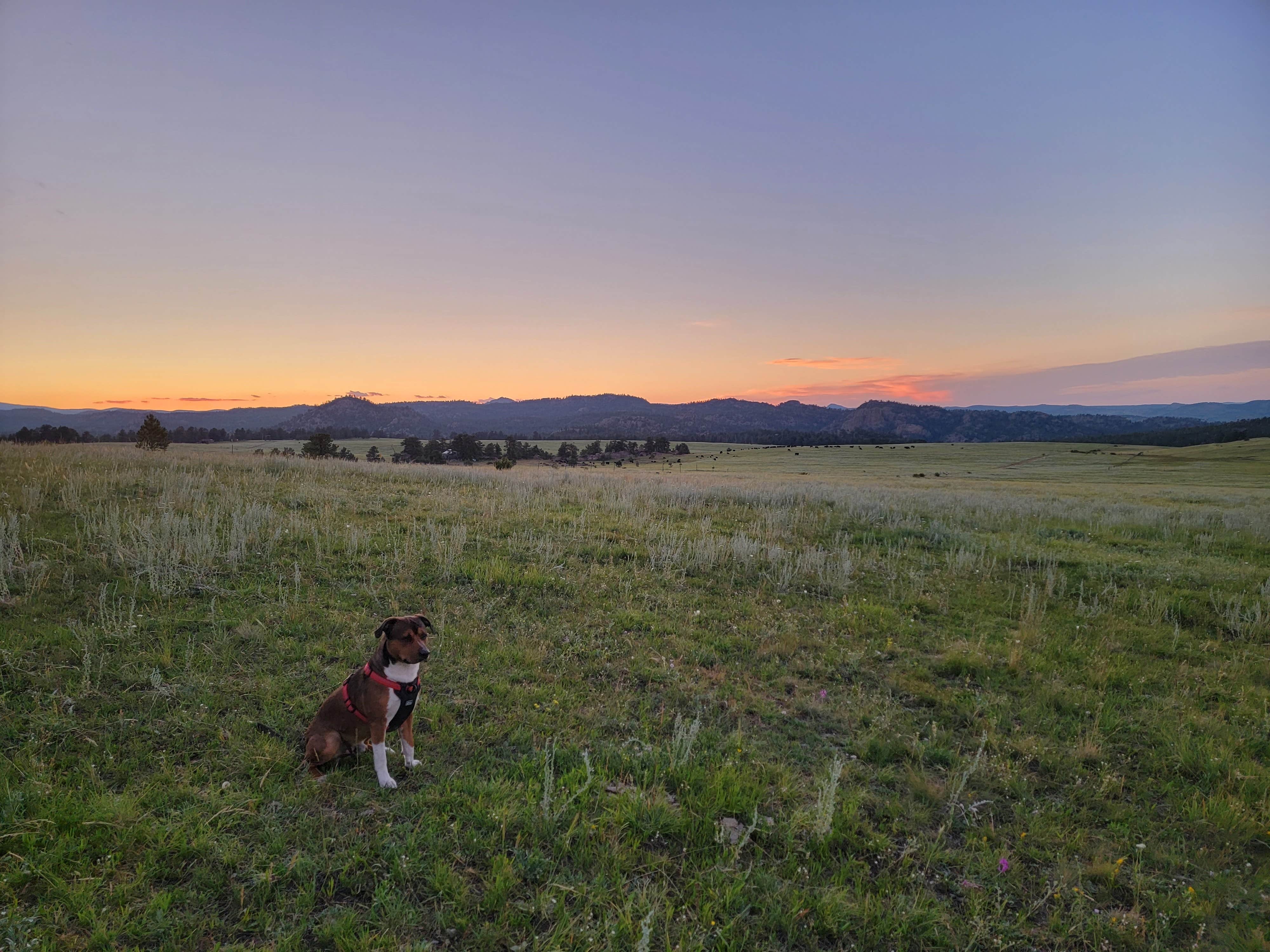 Camper submitted image from Comanche Peak View Campground - 5