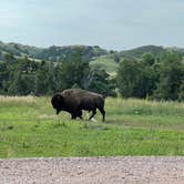 Review photo of Sage Creek Campground by Sumner C., July 25, 2023