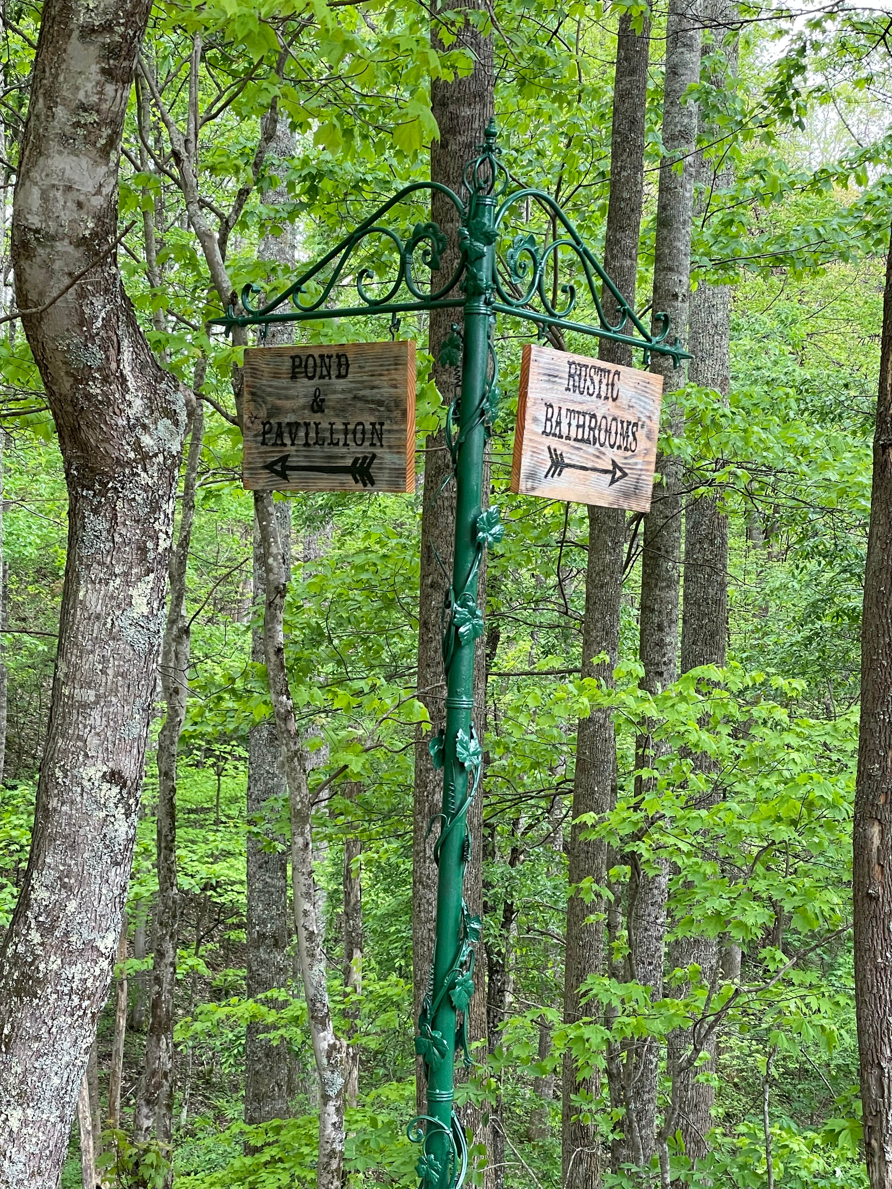 Camper-submitted photo at Safe Haven Farm RV Camping and Events near Erwin, TN