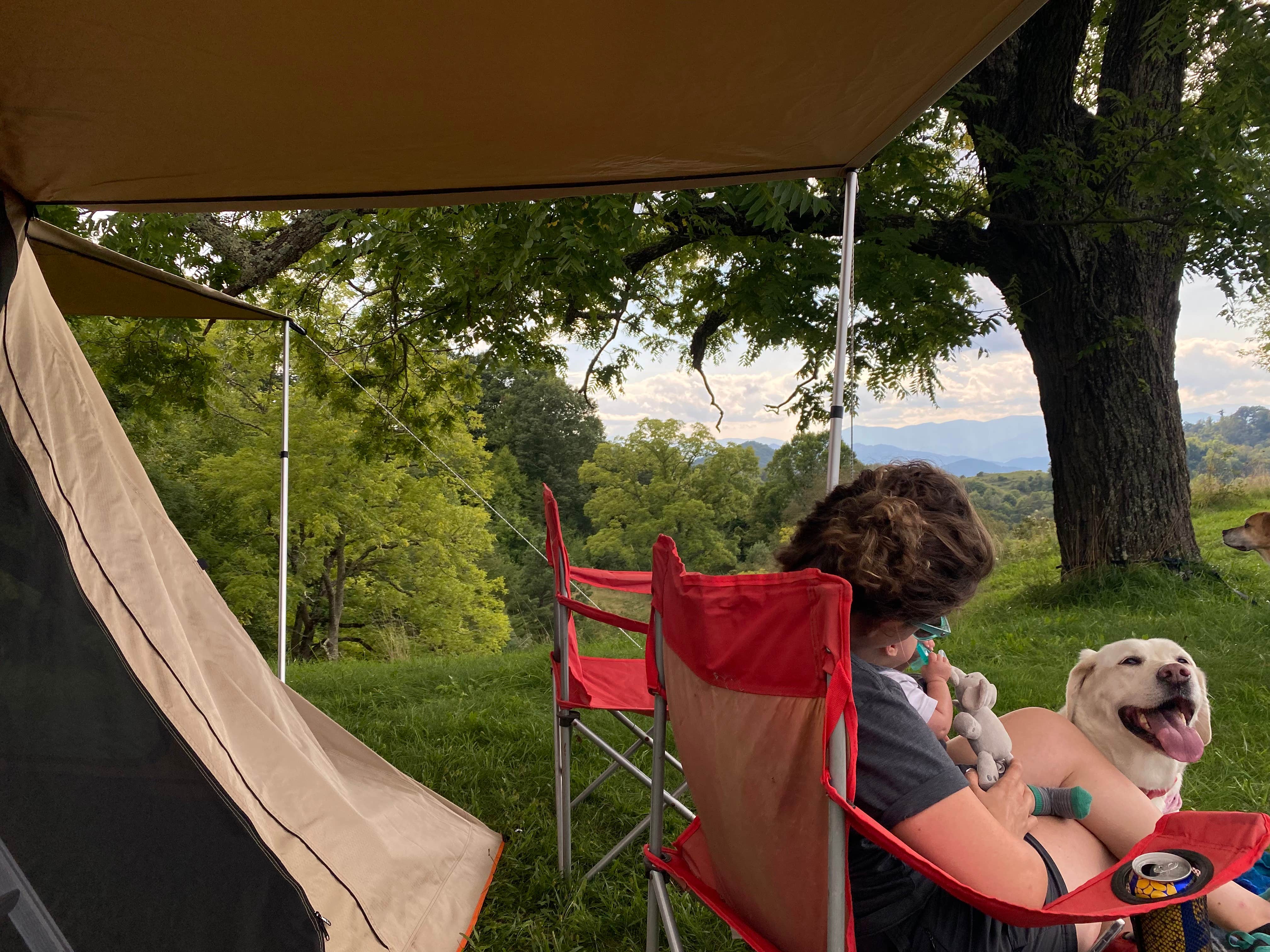 Faramarz H.'s photo at Pause || Eco-Retreat near Canton, NC