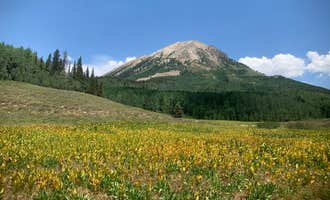 Camping near Farris Creek Campground: Washington Gulch Dispersed Camping, Crested Butte, Colorado