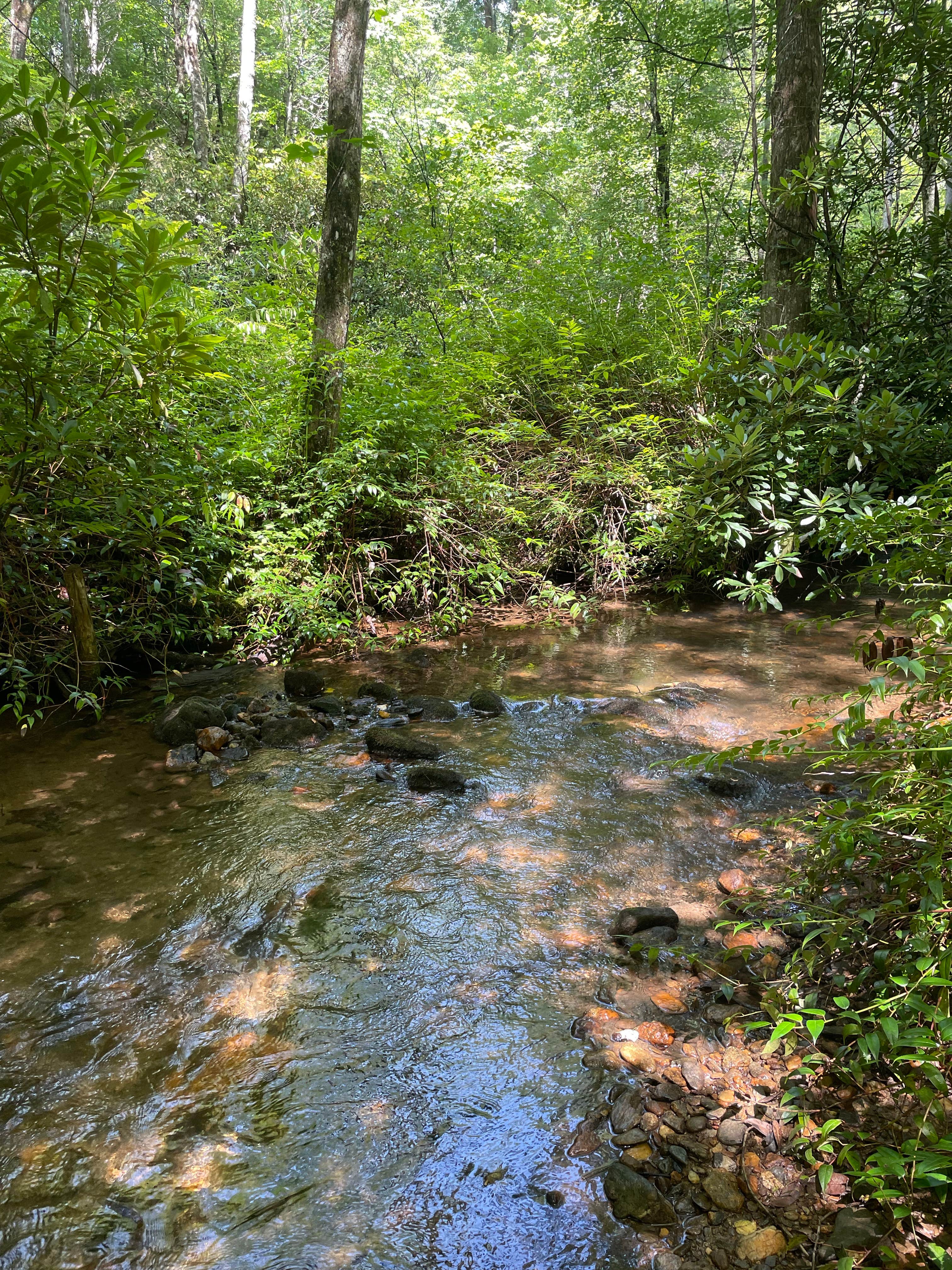 Camper-submitted photo at Wash Creek Dispersed Campsites #4 and #5 near Glendale, SC
